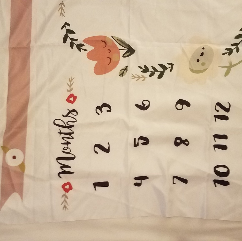 Baby girl Monthly Picture Blanket